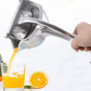 EXPRIMIDOR DE FRUTAS PREMIUM